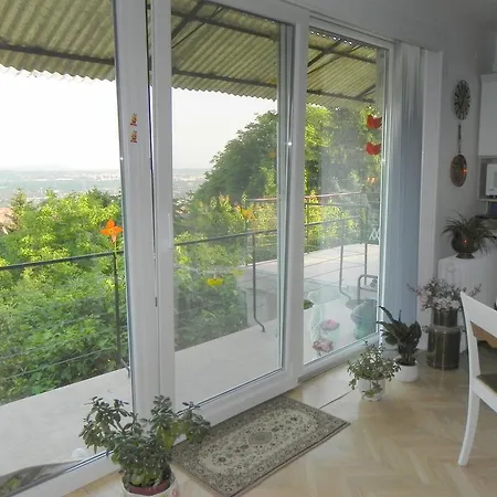 Tulipan Panorama *