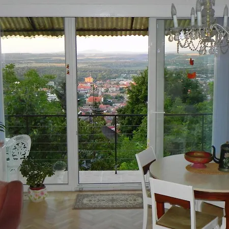 Tulipan Panorama *