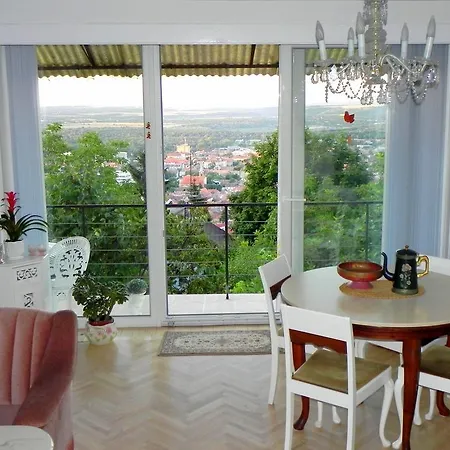 Tulipan Panorama