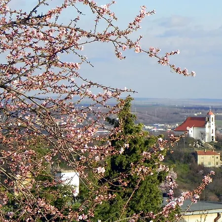 Tulipan Panorama Apartmán Pětikostelí