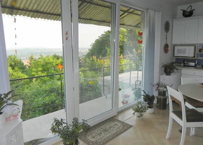 Tulipan Panorama *