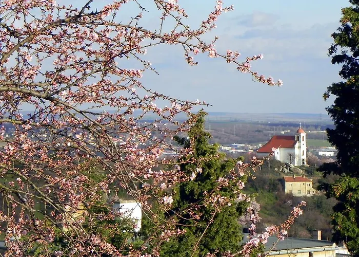 Tulipan Panorama 아파트 페치
